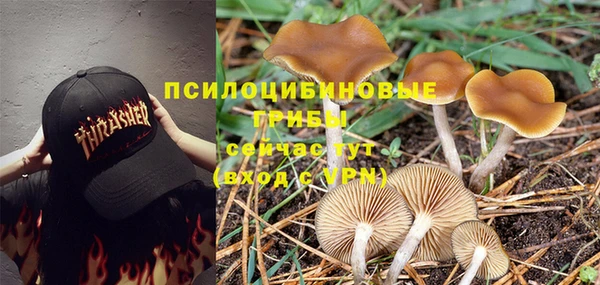 кокаин колумбия Абаза