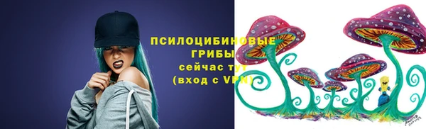 СК Абдулино