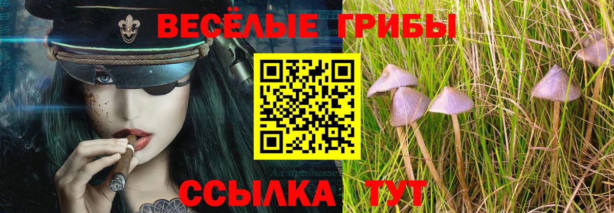 Галлюциногенные грибы Cubensis  Вход с VPN  Ивантеевка 